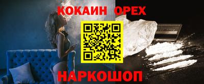 гидропоника Новозыбков