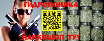 прущие грибы Новокубанск
