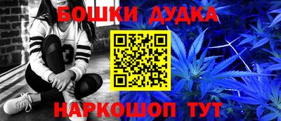 прущие грибы Новокубанск