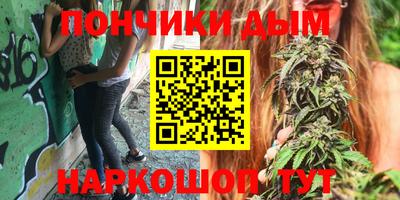 гидропоника Новозыбков