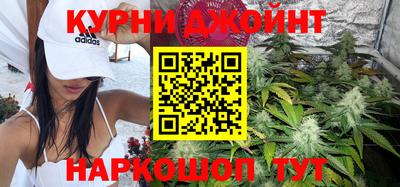 гидропоника Новозыбков