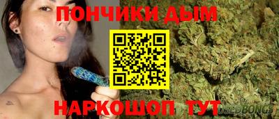 гидропоника Новозыбков