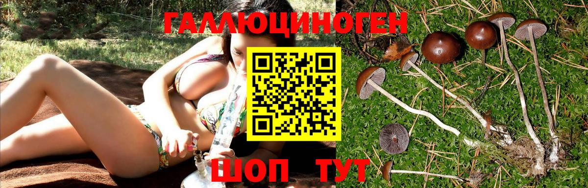 Ревда  Псилоцибиновые грибы мухоморы  Вход с VPN 