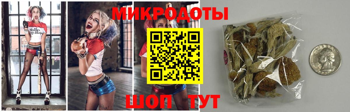 Псилоцибиновые грибы Psilocybine cubensis Ревда